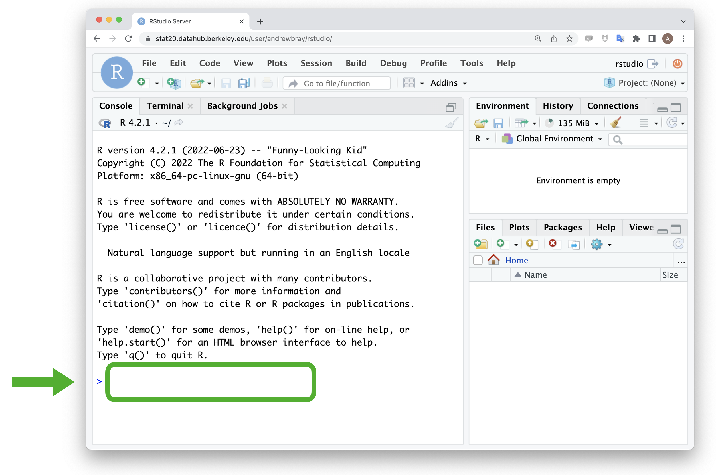 Screenshot showing RStudio in the browser with the console circled in green.