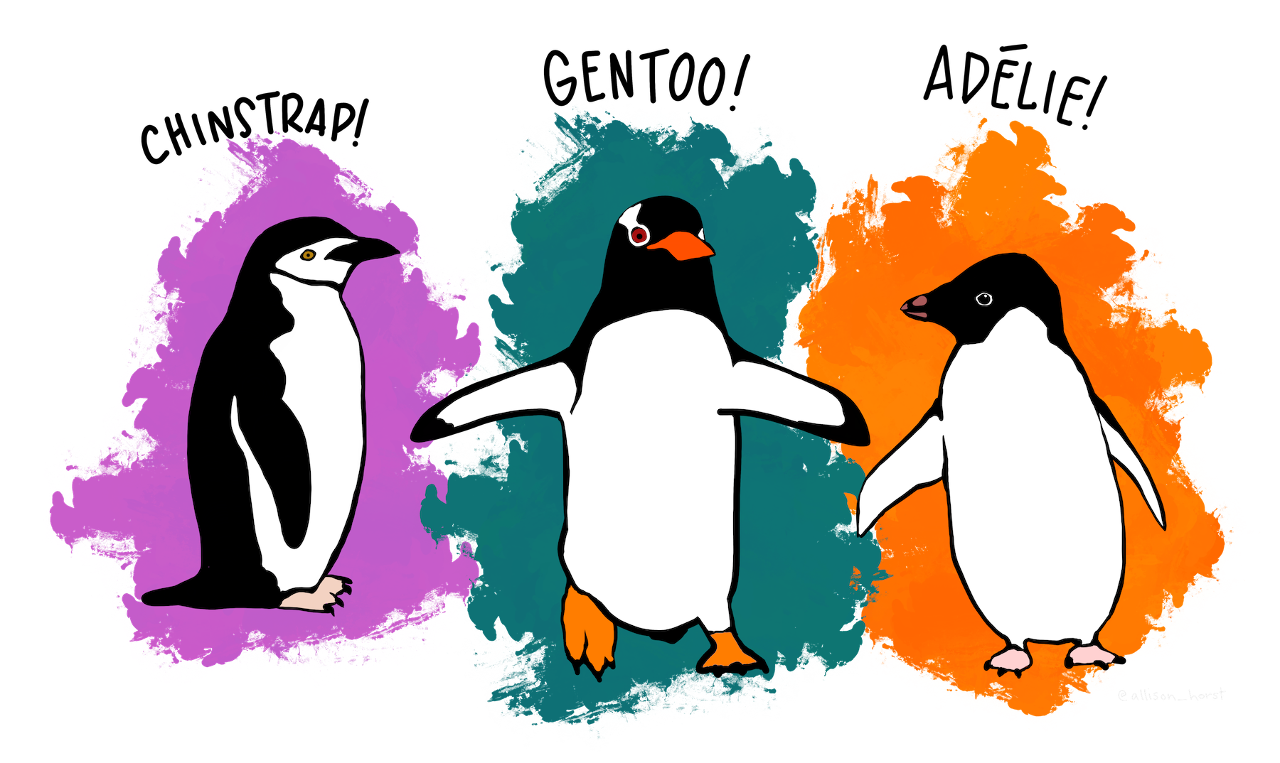 Sketch showing the three species of penguins.