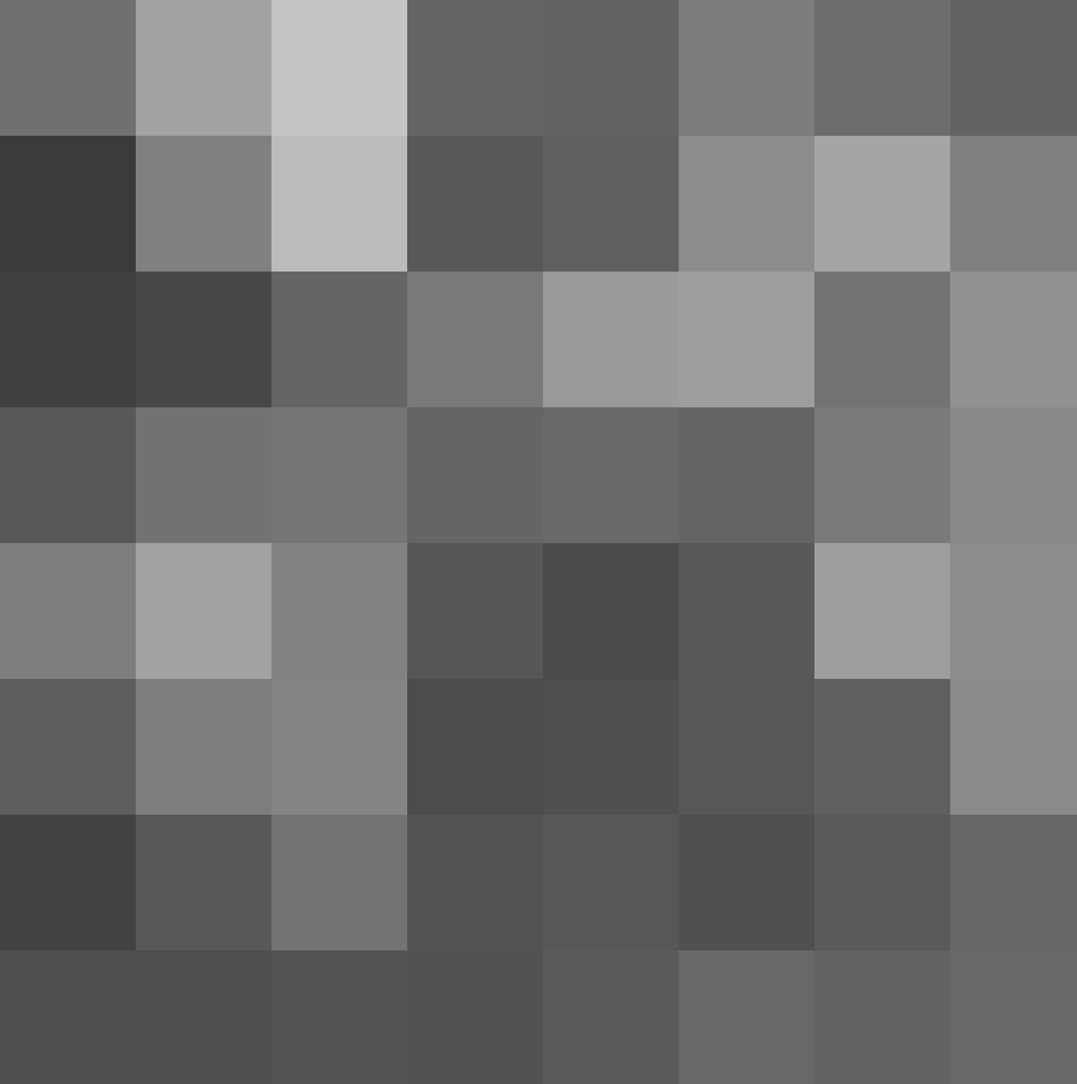 An 8 x 8 grayscale image